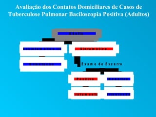 Avaliação dos Contatos Domiciliares de Casos de
Tuberculose Pulmonar Baciloscopia Positiva (Adultos)


                                    A d u lt o


     A s s in t o m á t ic o ( I)           S in t o m á t ic o


         O r ie n t a ç ã o                  E x a m e d e E s c a rro


                                         P o s it iv o            N e g a t iv o


                                      T ra ta m e n to        O r ie n t a ç ã o
 