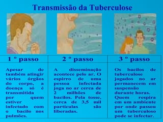 Transmissão da Tuberculose




1 º passo             2 º passo            3 º passo
Apesar        de   A     disseminação     Os   bacilos   de
também atingir     acontece pelo ar. O    tuberculose
vários    órgãos   espirro    de   uma    jogados no ar
do    corpo,   a   pessoa     infectada   permanecem em
doença     só  é   joga no ar cerca de    suspensão
transmitida        2     milhões     de   durante horas.
por        quem    bacilos. Pela tosse,   Quem      respira
estiver            cerca de 3,5 mil       em um ambiente
infectado com      partículas       são   por onde passou
o    bacilo nos    liberadas.             um tuberculoso
pulmões.                                  pode se infectar.
 