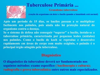 Tuberculose Primária ...
                                      Granuloma tuberculoso
                  (reação do organismo em deter o bacilo quando a imunidade está normal)


Após um período de 15 dias, os bacilos passam a se multiplicar
facilmente nos pulmões, pois ainda não há proteção natural do
organismo contra a doença.
Se o sistema de defesa não conseguir “segurar” o bacilo, instala-se a
tuberculose primária, caracterizada por pequenas lesões (nódulos)
nos pulmões. Como o bacilo de koch se reproduz e desenvolve
rapidamente em áreas do corpo com muito oxigênio, o pulmão é o
principal órgão atingido pela tuberculose.

                               Diagnóstico
O diagnóstico da tuberculose deverá ser fundamentado nos
seguintes métodos: exame específico ( baciloscopia e cultura);
radiografia e prova tuberculínica entre outros mais especializados.
 