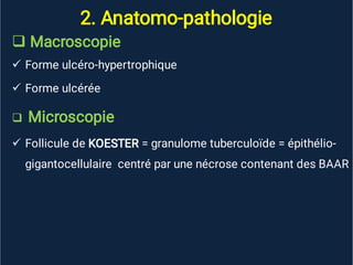 2. Anatomo-pathologie





Macroscopie
Forme ulcéro-hypertrophique
Forme ulcérée
Microscopie
Follicule de KOESTER = granulome tuberculoïde = épithélio-
gigantocellulaire centré par une nécrose contenant des BAAR
 
