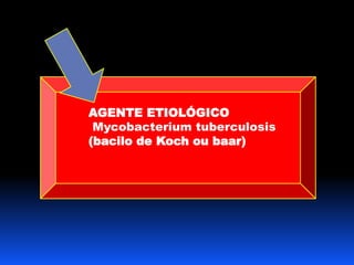AGENTE ETIOLÓGICO 
Mycobacterium tuberculosis 
(bacilo de Koch ou baar) 
 