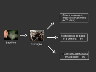 Bacilífero Exposição Sistema Imunológico Impede desenvolvimento da TB  (90%). Multiplicação do bacilo (TB primária) – 5% Reativação (Deficiência Imunológica) – 5% 