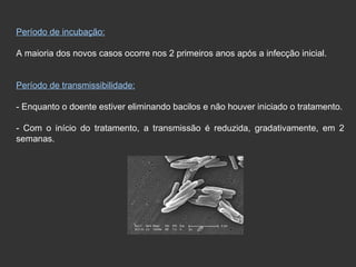 Período de incubação: A maioria dos novos casos ocorre nos 2 primeiros anos após a infecção inicial. Período de transmissibilidade: - Enquanto o doente estiver eliminando bacilos e não houver iniciado o tratamento. - Com o início do tratamento, a transmissão é reduzida, gradativamente, em 2 semanas. 