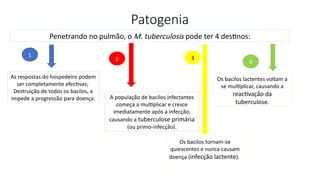 Patogenia
Penetrando no pulmão, o M. tuberculosis pode ter 4 destinos:
As respostas do hospedeiro podem
ser completamente efectivas;
Destruição de todos os bacilos, e
impede a progressão para doença. A população de bacilos infectantes
começa a multiplicar e cresce
imediatamente após a infecção,
causando a tuberculose primária
(ou primo-infecção).
Os bacilos tornam-se
quiescentes e nunca causam
doença (infecção lactente).
Os bacilos lactentes voltam a
se multiplicar, causando a
reactivação da
tuberculose.
1
2 3
4
 