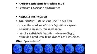 •Antígeno apresentado à célula TCD4 
•Secretam Citocinas e óxido nítrico 
•Resposta Imunológicas 
•Th1-Positiva (interleucinas 2 e 3 e o IFN-γ) 
-ativa células inflamatórias e fagocíticascapazes de inibir o crescimento bacteriano; 
-amplia a atividade fagocitária do macrófago, estimula a produção de peróxidos nos lisossomas. 
IFN-γ: “peça-chave”  
