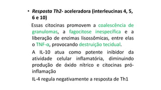 •Resposta Th2-aceleradora (interleucinas 4, 5, 6 e 10) 
Essascitocinaspromovemacoalescênciadegranulomas,afagocitoseinespecíficaealiberaçãodeenzimaslisossômicas,entreelasoTNF-α,provocandodestruiçãotecidual. 
AIL-10atuacomopotenteinibidordaatividadecelularinflamatória,diminuindoproduçãodeóxidonítricoecitocinaspró- inflamação 
IL-4regulanegativamentearespostadeTh1  