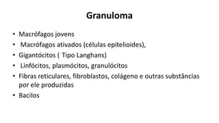 Granuloma 
•Macrófagos jovens 
•Macrófagos ativados (células epitelioides), 
•Gigantócitos(Tipo Langhans) 
•Linfócitos, plasmócitos, granulócitos 
•Fibras reticulares, fibroblastos, colágeno e outras substâncias por ele produzidas 
•Bacilos  