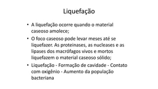 Liquefação 
•A liquefação ocorre quando o material caseosoamolece; 
•O foco caseosopode levar meses até se liquefazer. As proteinases, as nucleasese as lipasesdos macrófagos vivos e mortos liquefazem o material caseososólido; 
•Liquefação -Formação de cavidade -Contato com oxigênio -Aumento da população bacteriana  