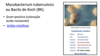 Mycobacteriumtuberculosisou Bacilo de Koch(BK). 
•Gram-positiva(coloração ácido-resistente) 
•ácidos micólicos  