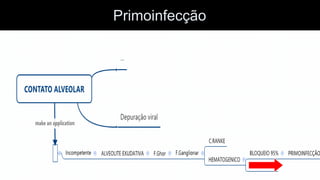Primoinfecção  