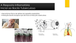 A Resposta InflamatóriaInicial ao Bacilo Tuberculoso 
•Mecanismos físicos de defesa do aparelho respiratório 
•Interação bacilo-receptor que dá início à infecção tuberculosa  