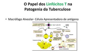 O Papel dos Linfócitos TnaPatogenia da Tuberculose 
•Macrófago Alveolar-Célula Apresentadora de antígeno  