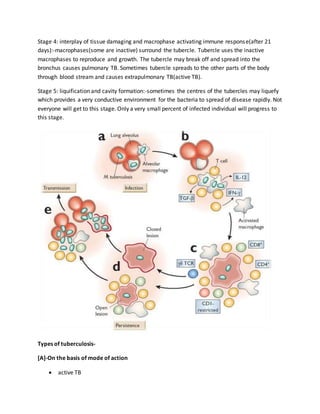 Stage 4: interplay of tissue damaging and macrophase activating immune response(after 21
days):-macrophases(some are inactive) surround the tubercle. Tubercle uses the inactive
macrophases to reproduce and growth. The tubercle may break off and spread into the
bronchus causes pulmonary TB. Sometimes tubercle spreads to the other parts of the body
through blood stream and causes extrapulmonary TB(active TB).
Stage 5: liquification and cavity formation:-sometimes the centres of the tubercles may liquefy
which provides a very conductive environment for the bacteria to spread of disease rapidly. Not
everyone will get to this stage. Only a very small percent of infected individual will progress to
this stage.
Types of tuberculosis-
[A]-On the basis of mode of action
 active TB
 