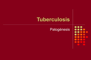 Tuberculosis
Patogénesis
 