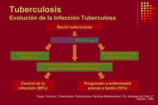Tuberculosis
Evolución de la Infección Tuberculosa
Farga, Victorino. Tuberculosis. Publicaciones Técnicas Mediterráneo LTA. Santiago de Chile. 2º
Edición, 1992
Bacilo tuberculosoBacilo tuberculoso
MacrófagosMacrófagos
Curación sinCuración sin
InfecciónInfección
Progresión local yProgresión local y
diseminacióndiseminación
Desarrollo de inmunidad celular eDesarrollo de inmunidad celular e
hipersensibilidad retardadahipersensibilidad retardada
Control de laControl de la
infección (90%)infección (90%)
Progresión a enfermedadProgresión a enfermedad
precoz o tardía (10%)precoz o tardía (10%)
 