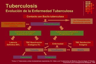 Tuberculosis
Evolución de la Enfermedad Tuberculosa
Contacto con Bacilo tuberculosoContacto con Bacilo tuberculoso
PrimoinfecciónPrimoinfección
Limitación CuraciónLimitación Curación
Espontánea 95%Espontánea 95%
Tuberculosis PrimariaTuberculosis Primaria
Progresiva 5%Progresiva 5%
LatenciaLatencia
Definitiva 95%Definitiva 95%
TBC ReactivaciónTBC Reactivación
Endógena 5%Endógena 5%
No PrimoinfecciónNo Primoinfección
Resistencia naturalResistencia natural
Tuberculina Positiva 3Tuberculina Positiva 3
semanassemanas
EnfermedadEnfermedad
TBC ReinfecciónTBC Reinfección
ExógenaExógena
CuraciónCuración CronificaciónCronificación MuerteMuerte
EspontáneaEspontánea TerapéuticaTerapéutica
Torres, C. Tuberculosis y otras micobacteriosis respiratorias. En: Velez y col. Fundamentos de Medicina: Neumonología. 5º Edición.
Corporación para Investigaciones Biológicas. 1998
 