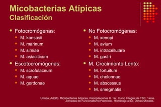 Micobacterias Atípicas
Clasificación
 Fotocromógenas:
 M. kansasii
 M. marinum
 M. simiae
 M. asiaciticum
 Escotocromógenas:
 M. scrofulaceum
 M. aquae
 M. gordonae
 No Fotocromógenas:
 M. xenopi
 M. avium
 M. intracellulare
 M. gastri
 M. Crecimiento Lento:
 M. fortuitum
 M. chelonnae
 M. abscessus
 M. smegmatis
Urrutia, Adolfo. Micobacterias Atípicas. Recopilaciones II. 1er. Curso Integral de TBC, 1eras.
Jornadas de Funcionalismo Pulmonar. Homenaje al Dr. Dimas Morales.
 