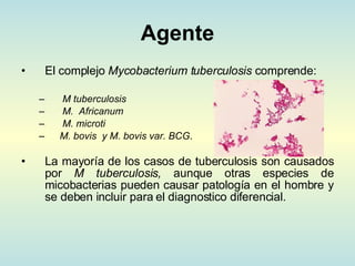 Agente El complejo  Mycobacterium tuberculosis  comprende: M tuberculosis M.  Africanum M. microti M. bovis  y M. bovis var.  BCG .  La mayoría de los casos de tuberculosis son causados por  M tuberculosis,  aunque otras especies de micobacterias pueden causar patología en el hombre y se deben incluir para el diagnostico diferencial.   