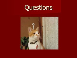 Questions 