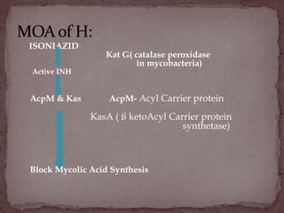 ISONIAZID
Kat G( catalase peroxidase
in mycobacteria)
Active INH
AcpM & Kas AcpM- Acyl Carrier protein
KasA ( ß ketoAcyl Carrier protein
synthetase)
Block Mycolic Acid Synthesis
 