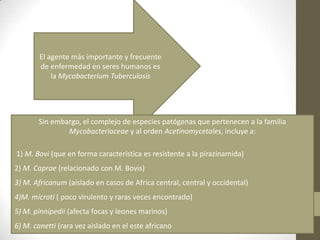 El agente más importante y frecuente
de enfermedad en seres humanos es
la Mycobacterium Tuberculosis
Sin embargo, el complejo de especies patógenas que pertenecen a la familia
Mycobacteriaceae y al orden Acetinomycetales, incluye a:
1) M. Bovi (que en forma característica es resistente a la pirazinamida)
2) M. Caprae (relacionado con M. Bovis)
3) M. Africanum (aislado en casos de Africa central, central y occidental)
4)M. microti ( poco virulento y raras veces encontrado)
5) M. pinnipedii (afecta focas y leones marinos)
6) M. canetti (rara vez aislado en el este africano
 