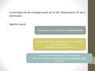 • La principal vía de contagio suele ser el Sist. Respiratorio  tos y
estornudo
• Agente causal
Mycobacteryum tuberculosis o Basilo de Koch
Bacilo aeróbeo que depende de O2 y PH óptimo
para su desarrollo
Multiplicación lenta (16-20hrs)
Provoca lesiones tisulares  «tuberculos»
Genera respuesta de CD4, Linfocitos citotóxico y NK
(eliminan)
 