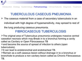  The caseous material from a case of secondary tuberculosis in an
individual with high degree of hypersensitivity, may spread to rest of
the lung producing caseous pneumonia.
TUBERCULOUS CASEOUS PNEUMONIA
Tuberculosis
FIBROCASEOUS TUBERCULOSIS
The original area of Tuberculous pneumonia undergoes massive central
caseation necrosis which may-Break in to a bronchus forming a cavity
called as Cavitary or Open Fibrocaseous TB
and become the source of spread of infection to others (open
tuberculosis).
It can lead to endobronchial and endotracheal TB.
Remain as a soft caseous lesion without drainage in to a bronchus or
bronchiole to produce a non cavitary lesion called as Chronic Fibrocaseous
TB.
Introduction Etiology Epidemiology Pathophysiology Clinical features Diagnosis Treatment
 