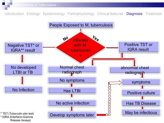 Pathophysiology Of Tuberculosis In Flow Chart