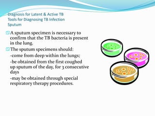 Diagnosis for Latent & Active TB
Tools for Diagnosing TB Infection
Sputum
A sputum specimen is necessary to
confirm that the TB bacteria is present
in the lung.
The sputum specimens should:
-come from deep within the lungs;
-be obtained from the first coughed
up sputum of the day, for 3 consecutive
days
-may be obtained through special
respiratory therapy procedures.
 