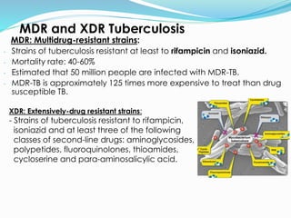 MDR and XDR Tuberculosis
MDR: Multidrug-resistant strains:
- Strains of tuberculosis resistant at least to rifampicin and isoniazid.
- Mortality rate: 40-60%
- Estimated that 50 million people are infected with MDR-TB.
- MDR-TB is approximately 125 times more expensive to treat than drug
susceptible TB.
XDR: Extensively-drug resistant strains:
- Strains of tuberculosis resistant to rifampicin,
isoniazid and at least three of the following
classes of second-line drugs: aminoglycosides,
polypetides, fluoroquinolones, thioamides,
cycloserine and para-aminosalicylic acid.
 