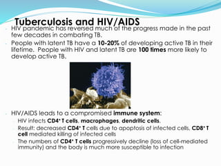 - HIV pandemic has reversed much of the progress made in the past
few decades in combating TB.
- People with latent TB have a 10-20% of developing active TB in their
lifetime. People with HIV and latent TB are 100 times more likely to
develop active TB.
- HIV/AIDS leads to a compromised immune system:
- HIV infects CD4+ T cells, macrophages, dendritic cells.
- Result: decreased CD4+ T cells due to apoptosis of infected cells, CD8+ T
cell mediated killing of infected cells
- The numbers of CD4+ T cells progressively decline (loss of cell-mediated
immunity) and the body is much more susceptible to infection
Tuberculosis and HIV/AIDS
T cell
 