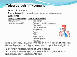 Tuberculosis in Humans
- Reservoir: Humans
- Transmission: Airborne disease (aerosol transmission)
- Symptoms:
Latent TB infection: Active TB infection:
No symptoms Bad cough
*Cannot spread TB Coughing up blood/sputum
Chest pain
Loss of appetite
Weight loss
Fever
Chills
Night sweats
Swollen glands
*Contagious
Extra-pulmonary TB: Symptoms depend on location of infection
General symptoms: fatigue, fever, loss of appetite, weight loss.
TB of lymph nodes: swelling of lymph nodes
TB meningitis: neurological symptoms including headache
Spinal TB: Mobility impairments, pain
 