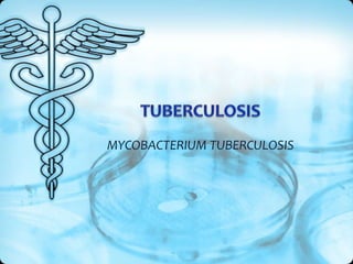 MYCOBACTERIUM TUBERCULOSIS
 