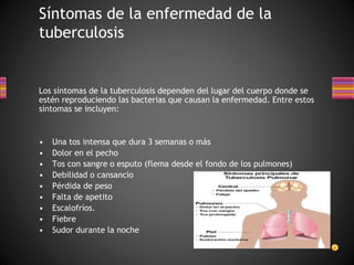 Síntomas de la enfermedad de la 
tuberculosis 
Los síntomas de la tuberculosis dependen del lugar del cuerpo donde se 
estén reproduciendo las bacterias que causan la enfermedad. Entre estos 
síntomas se incluyen: 
• Una tos intensa que dura 3 semanas o más 
• Dolor en el pecho 
• Tos con sangre o esputo (flema desde el fondo de los pulmones) 
• Debilidad o cansancio 
• Pérdida de peso 
• Falta de apetito 
• Escalofríos. 
• Fiebre 
• Sudor durante la noche 
 