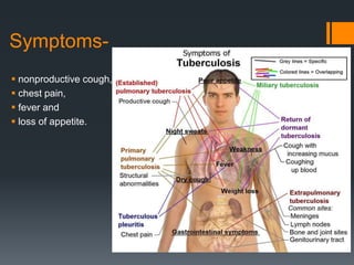 Symptoms-
 nonproductive cough,
 chest pain,
 fever and
 loss of appetite.
 