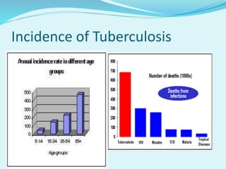 Incidence of Tuberculosis
 