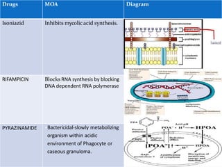 Drugs MOA Diagram
Isoniazid Inhibits mycolic acid synthesis.
RIFAMPICIN Blocks RNA synthesis by blocking
DNA dependent RNA polymerase
PYRAZINAMIDE •Bactericidal-slowly metabolizing
organism within acidic
environment of Phagocyte or
caseous granuloma.
 