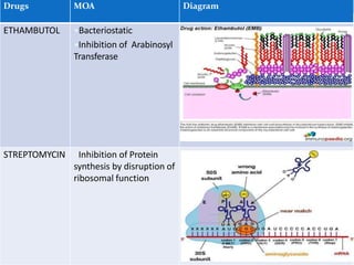 Drugs MOA Diagram
ETHAMBUTOL •Bacteriostatic
•Inhibition of Arabinosyl
Transferase
STREPTOMYCIN •Inhibition of Protein
synthesis by disruption of
ribosomal function
 