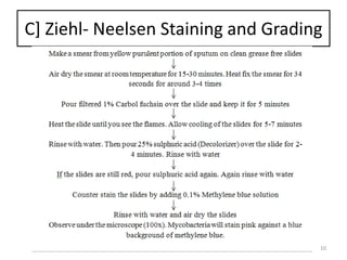 C] Ziehl- Neelsen Staining and Grading
10
 