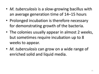 • M. tuberculosis is a slow-growing bacillus with
an average generation time of 14–15 hours
• Prolonged incubation is therefore necessary
for demonstrating growth of the bacteria.
• The colonies usually appear in almost 2 weeks,
but sometimes require incubation up to 8
weeks to appear.
• M. tuberculosis can grow on a wide range of
enriched solid and liquid media.
15
 