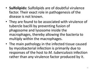 • Sulfolipids: Sulfolipids are of doubtful virulence
factor. Their exact role in pathogenesis of the
disease is not known.
• They are found to be associated with virulence of
tubercle bacilli by preventing fusion of
phagosome and lysosome inside the
macrophages, thereby allowing the bacteria to
multiply within the macrophages.
• The main pathology in the infected tissue caused
by mycobacterial infection is primarily due to
responses of the host to M. tuberculosis infection
rather than any virulence factor produced by it.
35
 