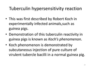 Tuberculin hypersensitivity reaction
• This was first described by Robert Koch in
experimentally infected animals,such as
guinea pigs.
• Demonstration of this tuberculin reactivity in
guinea pigs is known as Koch’s phenomenon.
• Koch phenomenon is demonstrated by
subcutaneous injection of pure culture of
virulent tubercle bacilli in a normal guinea pig.
37
 