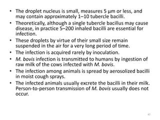 • The droplet nucleus is small, measures 5 μm or less, and
may contain approximately 1–10 tubercle bacilli.
• Theoretically, although a single tubercle bacillus may cause
disease, in practice 5–200 inhaled bacilli are essential for
infection.
• These droplets by virtue of their small size remain
suspended in the air for a very long period of time.
• The infection is acquired rarely by inoculation.
• M. bovis infection is transmitted to humans by ingestion of
raw milk of the cows infected with M. bovis.
• The infection among animals is spread by aerosolized bacilli
in moist cough sprays.
• The infected animals usually excrete the bacilli in their milk.
Person-to-person transmission of M. bovis usually does not
occur.
47
 