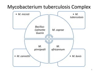 Mycobacterium tuberculosis Complex
• M. bovis• M. cannettii
• M.
tuberculosis
• M. microti
Bacillus-
Calmette
Guerin
M. caprae
M.
africannum
M.
pinnipedii
8
 