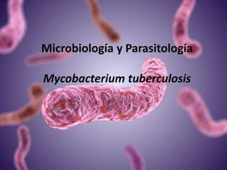 Microbiología y Parasitología
Mycobacterium tuberculosis
 