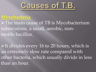 Mycobacteria
The main cause of TB is Mycobacterium
tuberculosis, a small, aerobic, non-
motile bacillus.
It divides every 16 to 20 hours, which is
an extremely slow rate compared with
other bacteria, which usually divide in less
than an hour.
 