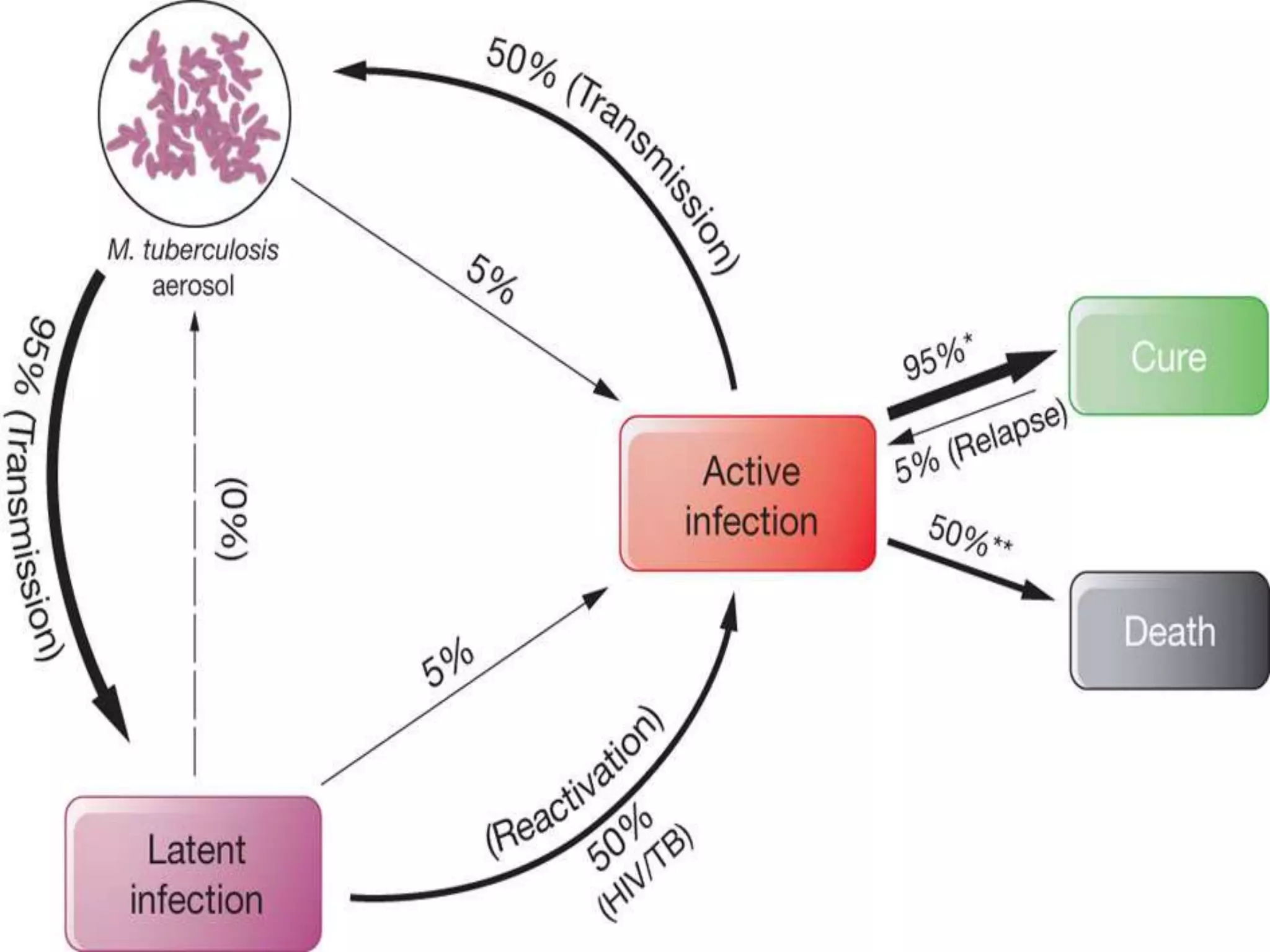 Austin Disease The Role of Prenatal Screening and Ongoing Monitoring