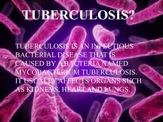 TUBERCULOSIS?
TUBERCULOSIS IS AN INFECTIOUS
BACTERIAL DISEASE THAT IS
CAUSED BY A BACTERIA NAMED
MYCOBACTERIUM TUBERCULOSIS.
IT USUALLY AFFECTS ORGANS SUCH
AS KIDNEYS, HEART AND LUNGS.
 