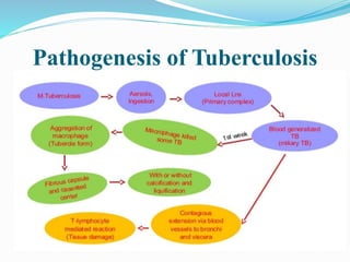 Pathogenesis of Tuberculosis
 