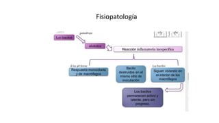 Fisiopatología
 